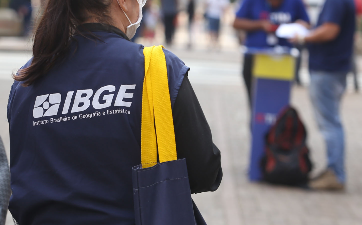 ibge ibge