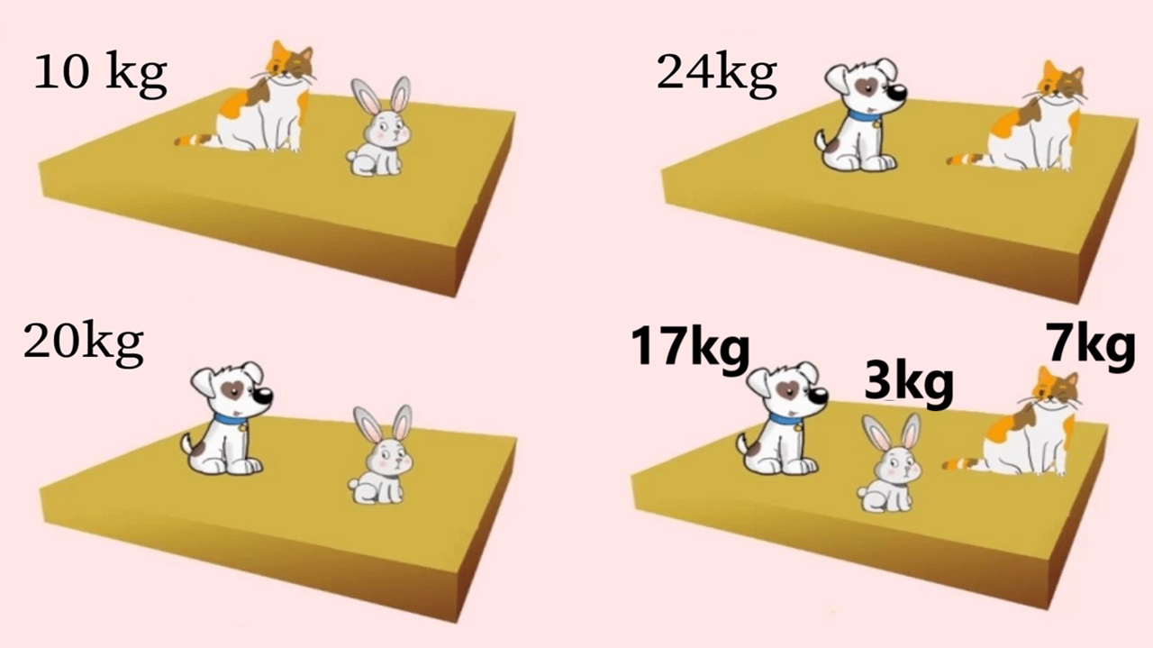 Desafio Matemático: quanto pesa cada um dos animais? Desafio Matemático: quanto pesa cada um dos animais?