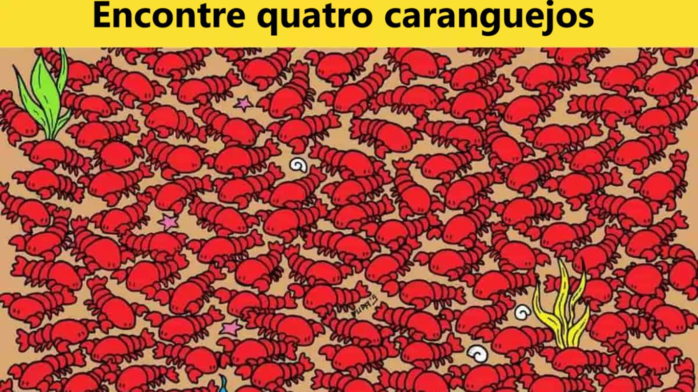 Teste de QI: será que você consegue encontrar 4 caranguejos em 10 segundos?
