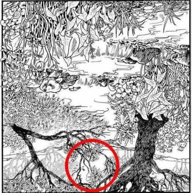 Teste de QI: será que você consegue encontrar o rosto nesta floresta em 15 segundos? Teste de QI: será que você consegue encontrar o rosto nesta floresta em 15 segundos?