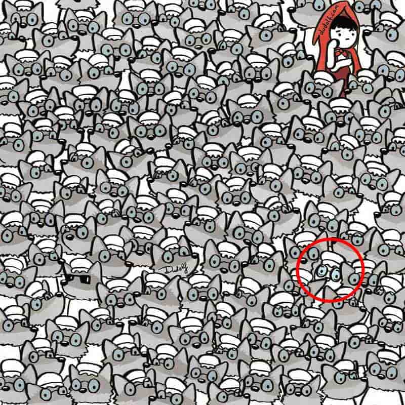 resposta de onde esta a vovozinha entre os lobos Resposta de onde está a vovózinha entre os lobos. Fonte: Jagran Josh.