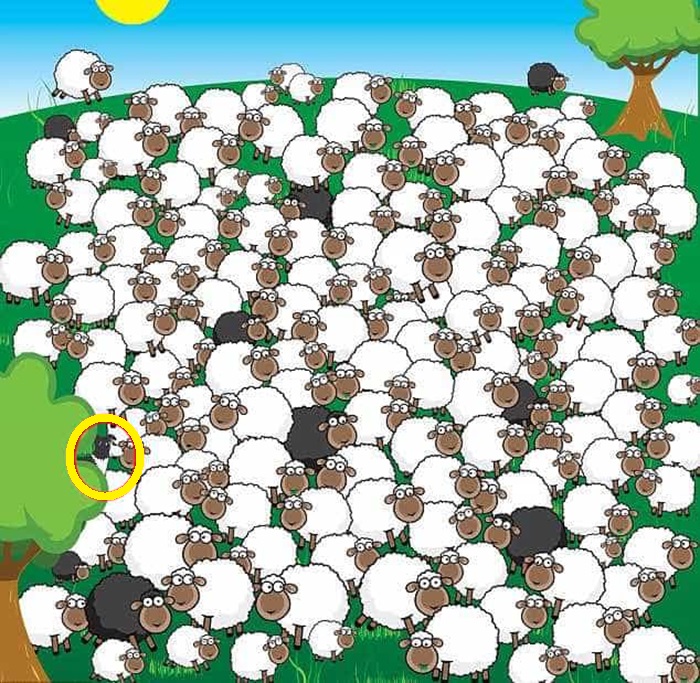 Raciocínio Lógico: encontre o cachorro no rebanho de ovelhas Raciocínio Lógico: encontre o cachorro no rebanho de ovelhas