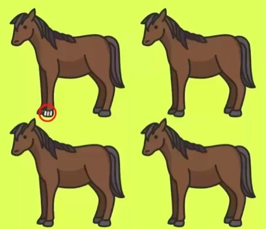 resposta do desafio visual do cavalo diferente Resposta do desafio visual do cavalo diferente. Fonte: Jagran Josh.