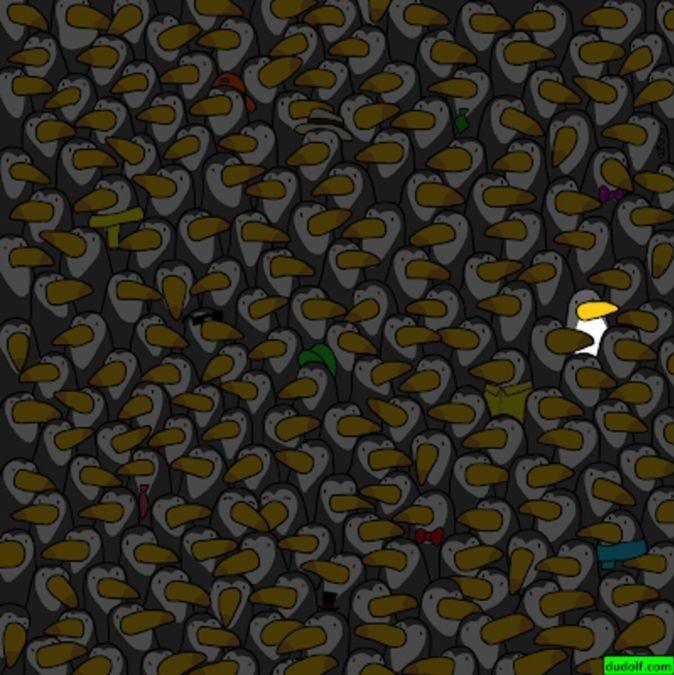 resposta do desafio visual do pinguim entre os tucanos Resposta do desafio visual do pinguim. Fonte: Jagran Josh.