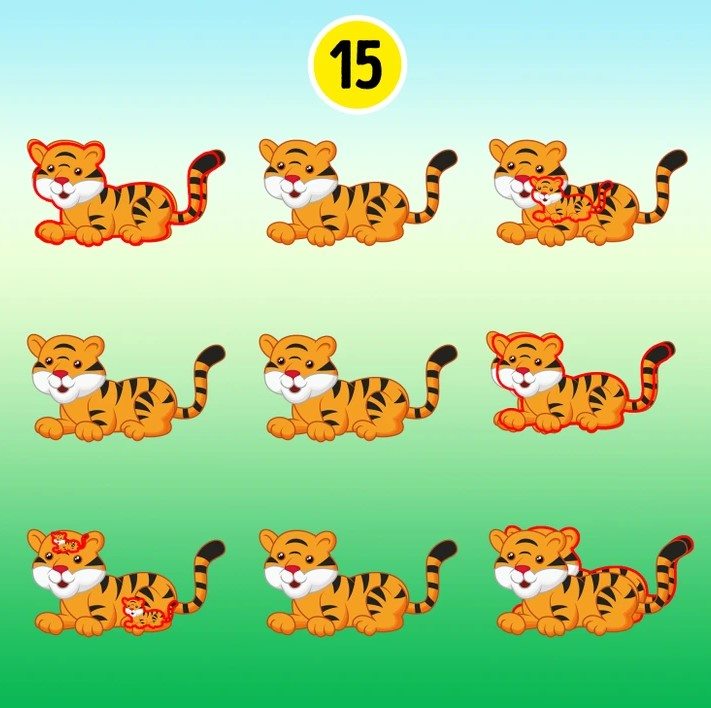 resposta do desafio visual dos tigres Resposta do desafio visual dos tigres. Fonte: Jagran Josh.