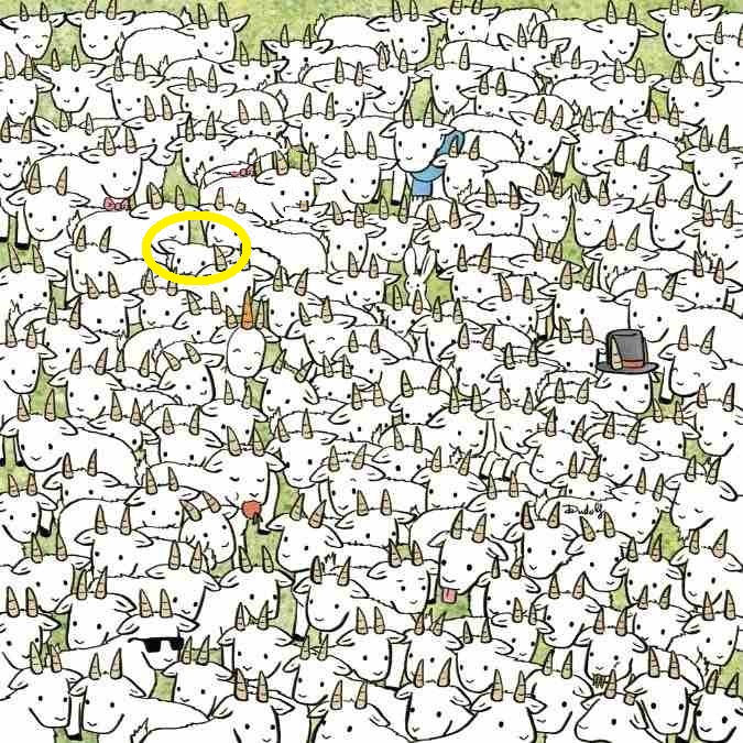 Teste de QI: será que você consegue encontrar a ovelha entre as cabras? Teste de QI: será que você consegue encontrar a ovelha entre as cabras?