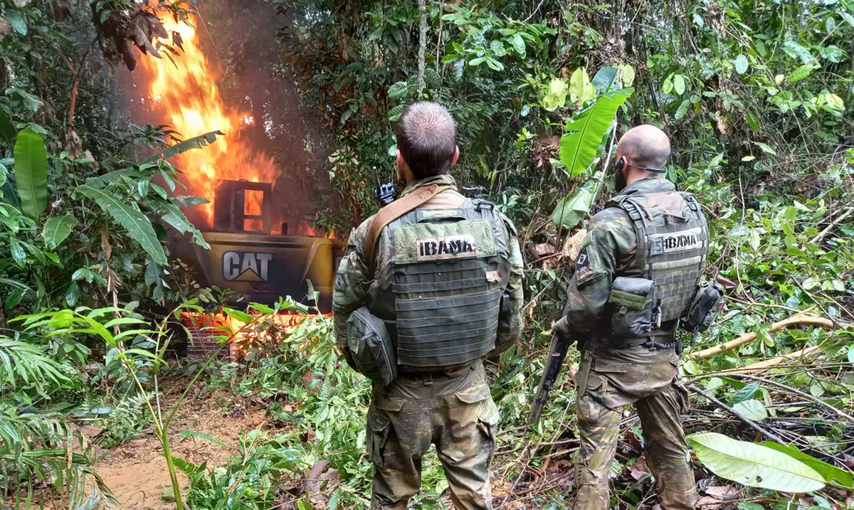 As inscrições para o Processo Seletivo do ICMBio estarão abertas entre os dias 16 e 19 de dezembro de 2024. Imagem: Agência Brasil