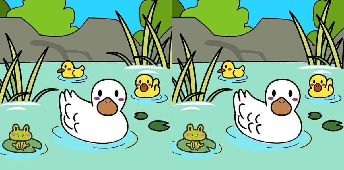 Raciocínio Lógico: encontre 3 diferenças entre as imagens dos patos Raciocínio Lógico: encontre 3 diferenças entre as imagens dos patos