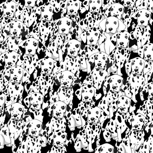 dalmata sem manchas Desafio visual do dálmata sem manchas. Fonte: Jagran Josh.