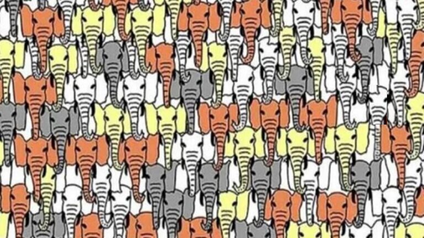 Desafio Visual: localize o panda em menos de 15 segundos