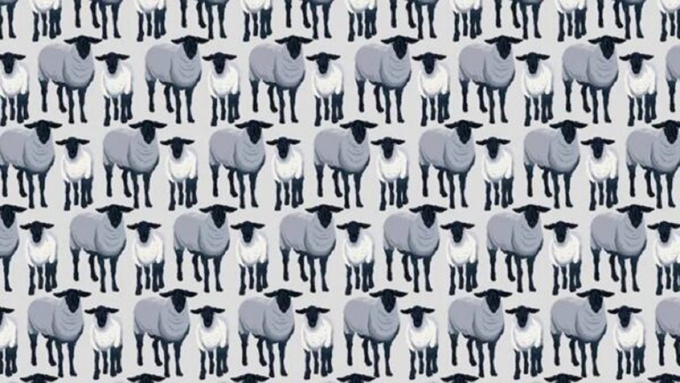 Desafio Visual: localize os lobos que estão disfarçados de ovelhas em 15 segundos