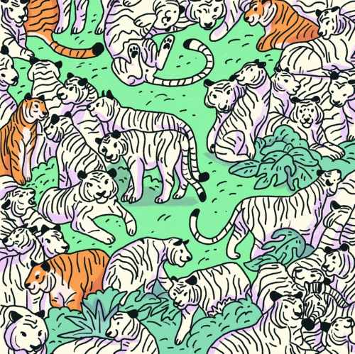 desafio visual da zebra Desafio visual da zebra entre os tigres. Fonte: Jagran Josh.