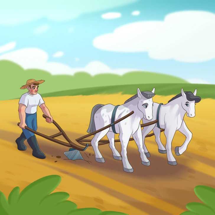 desafio visual do erro na imagem do cavalo Desafio visual do erro na imagem do cavalo. Fonte: Jagran Josh.