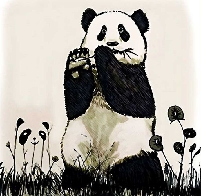 desafio visual dos pandas Desafio visual dos pandas. Fonte: Jagran Josh.