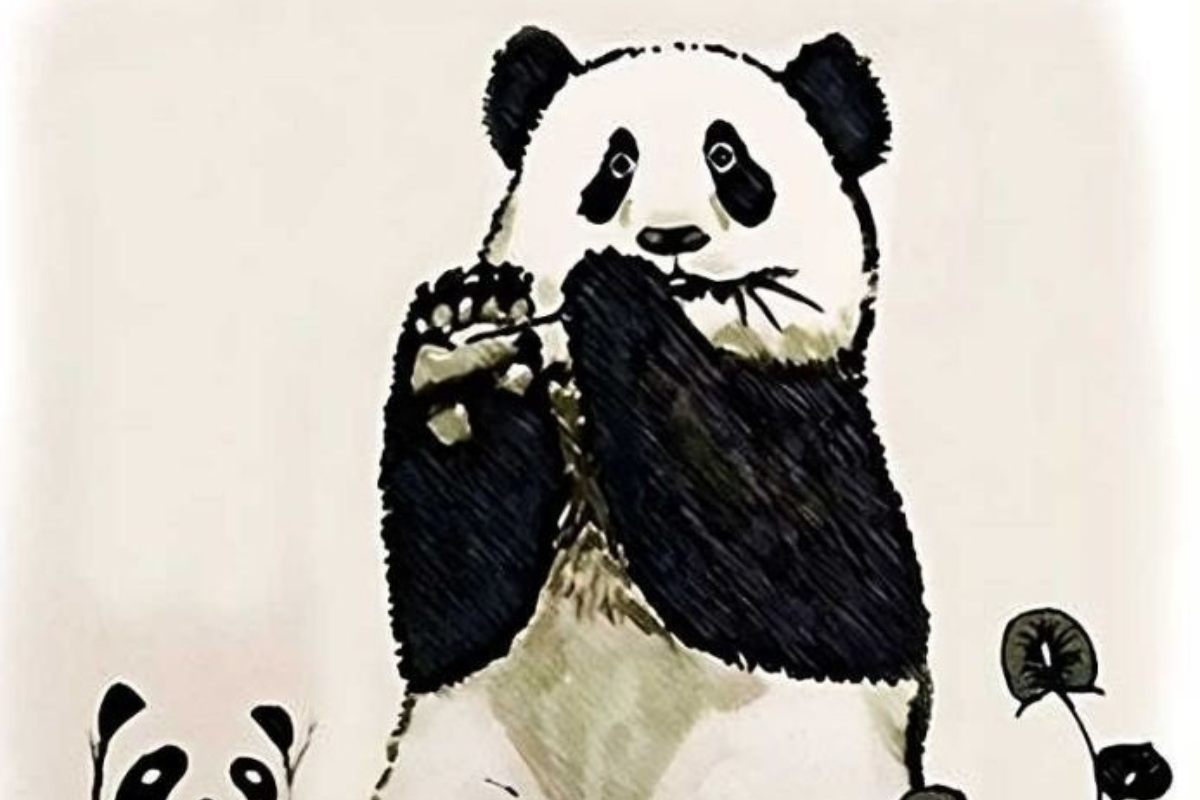Desafio visual dos pandas. Fonte: Jagran Josh.