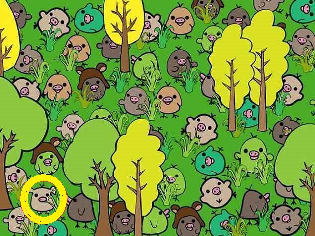 Desafio Visual: encontre o porco escondido em 10 segundos Desafio Visual: encontre o porco escondido em 10 segundos
