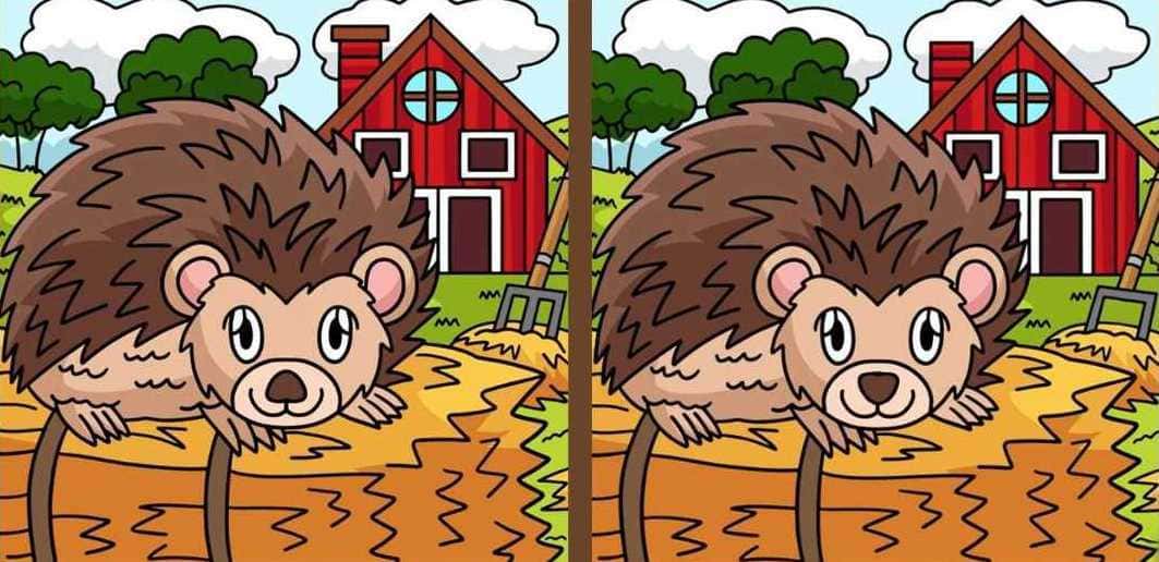 Raciocínio Lógico: descubra as 4 diferenças entre as imagens do ouriço Raciocínio Lógico: descubra as 4 diferenças entre as imagens do ouriço