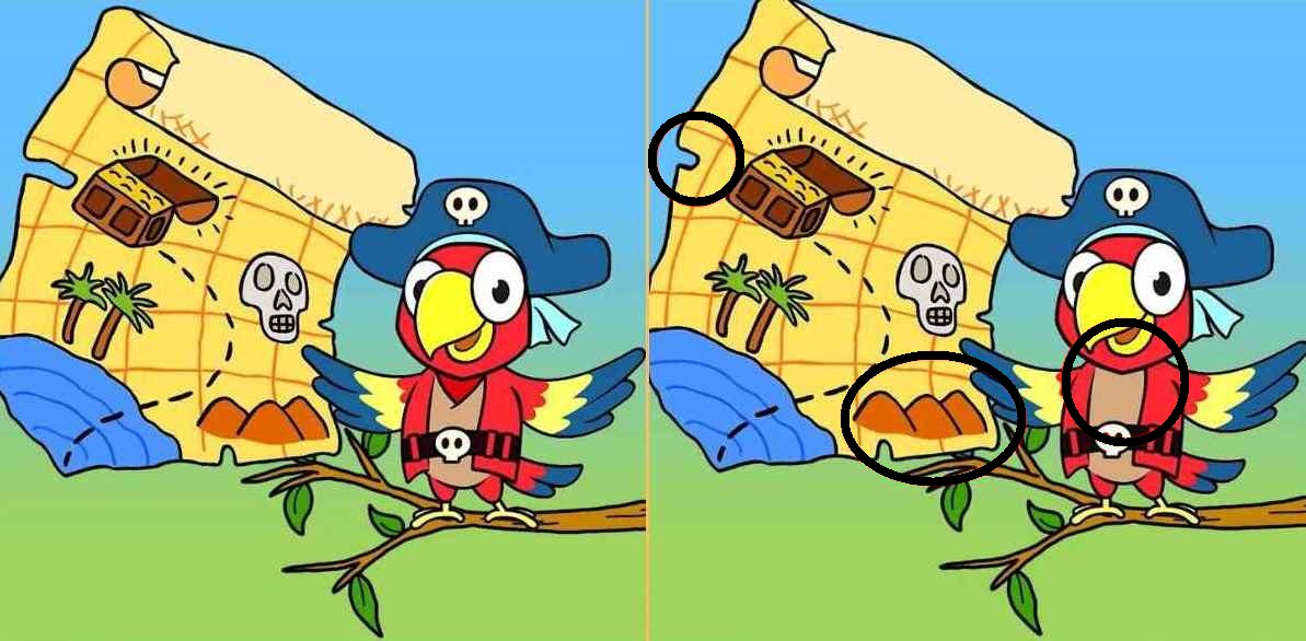 Raciocínio Lógico: descubra 3 diferenças entre as imagens do papagaio pirata Raciocínio Lógico: descubra 3 diferenças entre as imagens do papagaio pirata