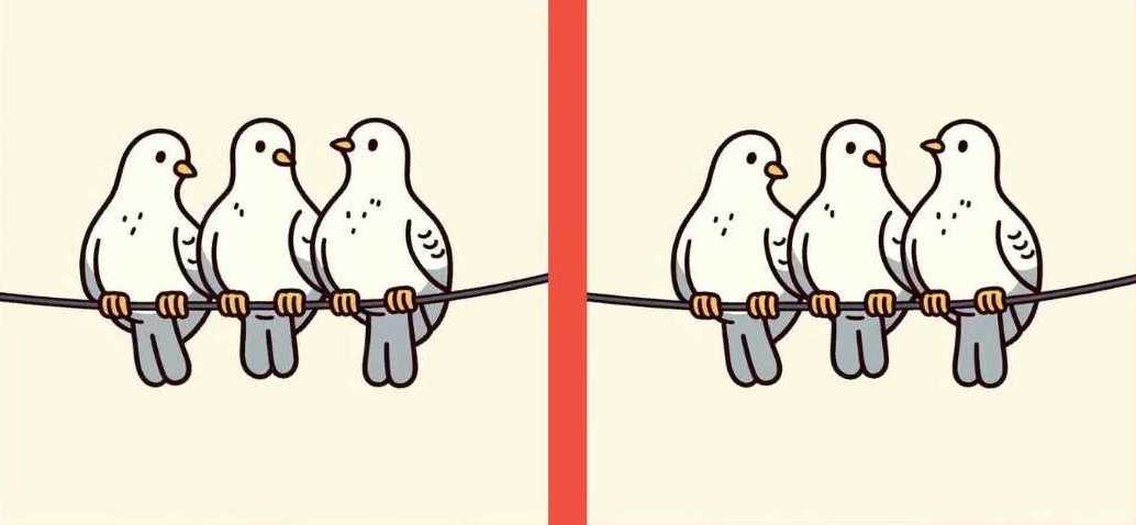 Teste de QI: descubra as 3 diferenças entre as imagens dos pombos Teste de QI: descubra as 3 diferenças entre as imagens dos pombos