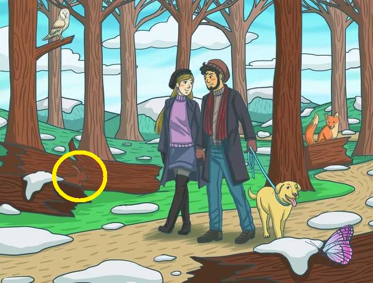 Teste de QI: será que você consegue encontrar o coelho em 5 segundos? Teste de QI: será que você consegue encontrar o coelho em 5 segundos?