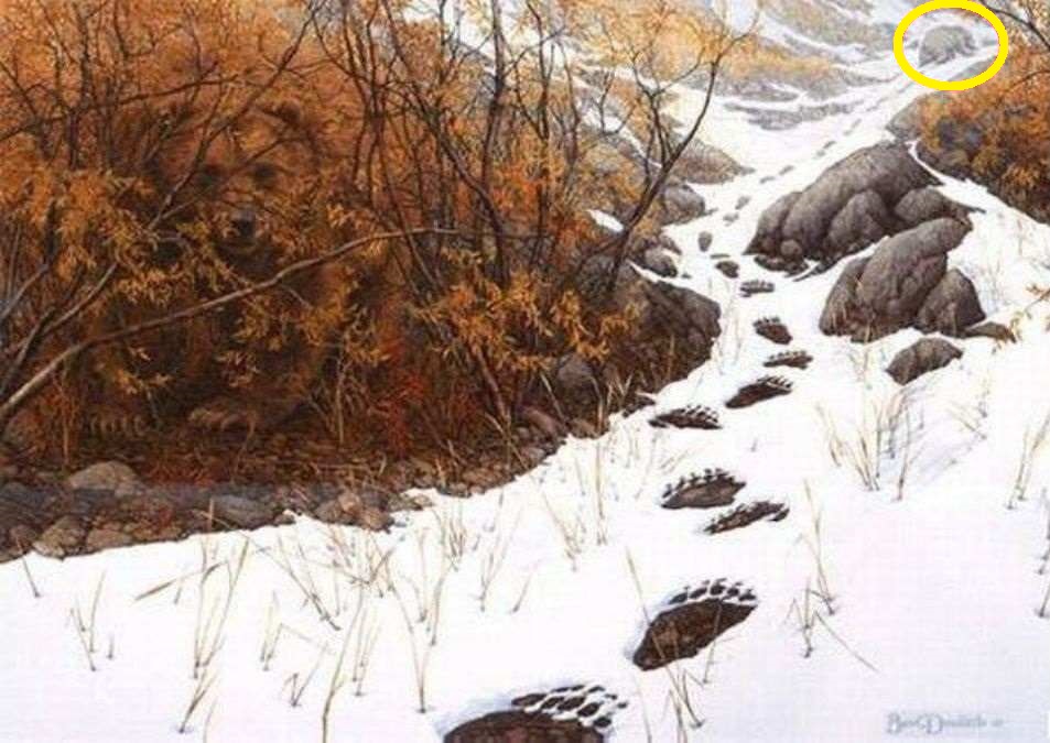 Raciocínio Lógico: localize o urso escondido em 10 segundos Raciocínio Lógico: localize o urso escondido em 10 segundos