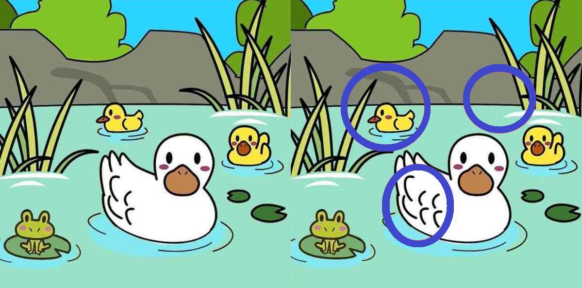 Raciocínio Lógico: encontre 3 diferenças entre as imagens dos patos Raciocínio Lógico: encontre 3 diferenças entre as imagens dos patos