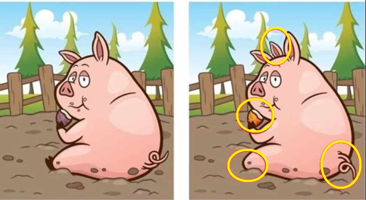 Raciocínio Lógico: identifique as 4 diferenças entre as imagens Raciocínio Lógico: identifique as 4 diferenças entre as imagens