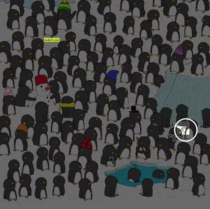 resposta de onde esta a caneca entre os pinguins Resposta de onde está a caneca entre os pinguins. Fonte: Jagran Josh.