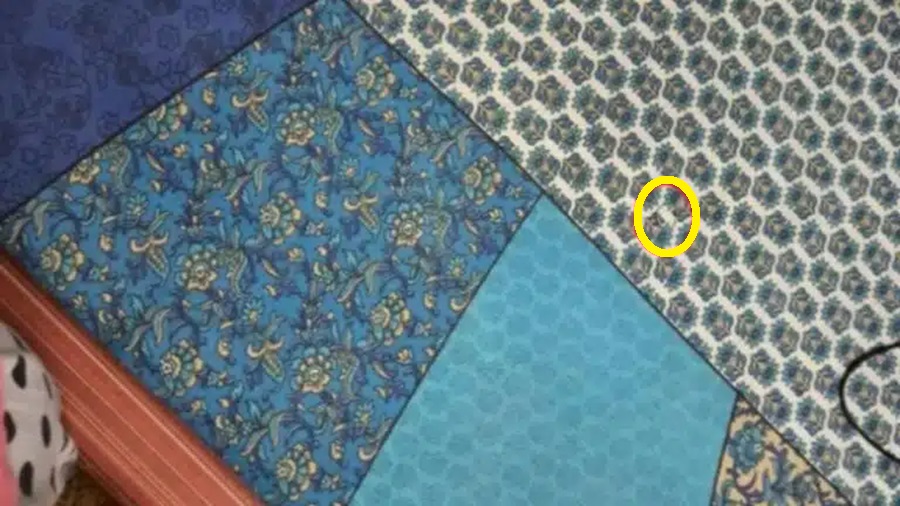 Desafio Visual: será que você consegue encontrar o anel em 15 segundos? Desafio Visual: será que você consegue encontrar o anel em 15 segundos?