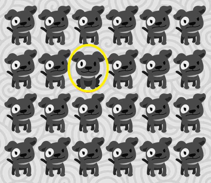 Desafio Visual: encontre o cachorro estranho em 5 segundos Desafio Visual: encontre o cachorro estranho em 5 segundos