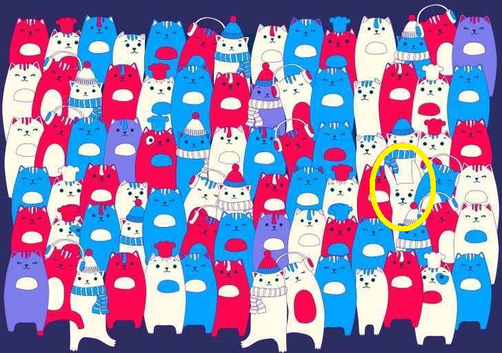Ilusão de Ótica: será que você consegue encontrar o coelho entre os gatos? Ilusão de Ótica: será que você consegue encontrar o coelho entre os gatos?