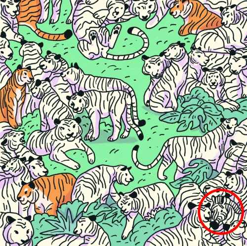 resposta do desafio visual da zebra Resposta do desafio visual da zebra. Fonte: Jagran Josh.