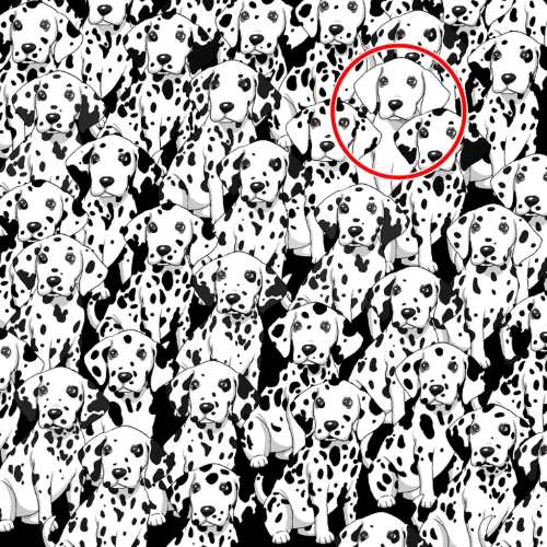 resposta do desafio visual do dalmata sem manchas Resposta do desafio visual do dálmata sem manchas. Fonte: Jagran Josh.