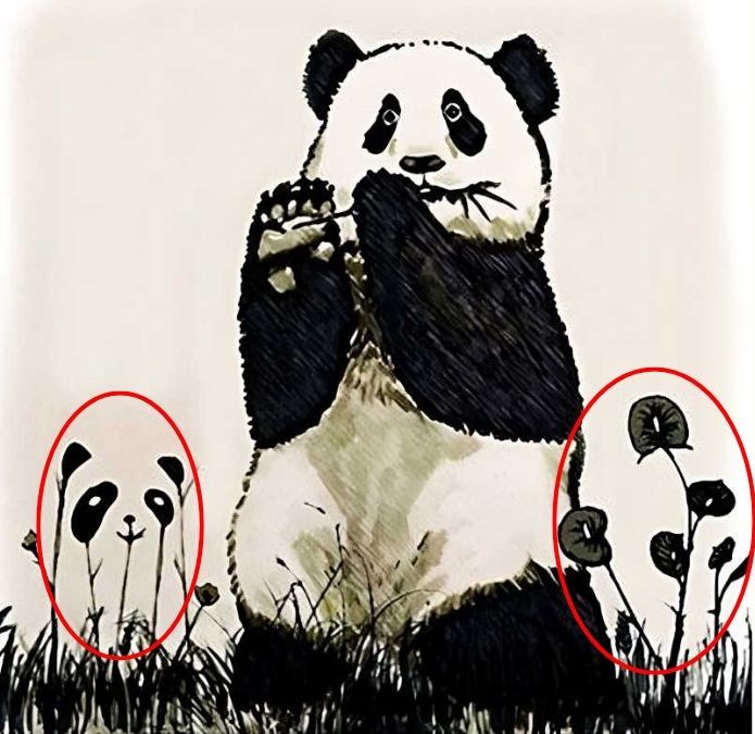 resposta do desafio visual dos pandas Resposta do desafio visual dos pandas. Fonte: Jagran Josh.