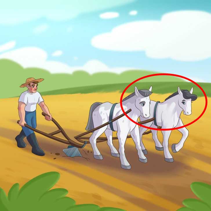 resposta do erro na imagem do cavalo Resposta do erro na imagem do cavalo. Fonte: Jagran Josh.