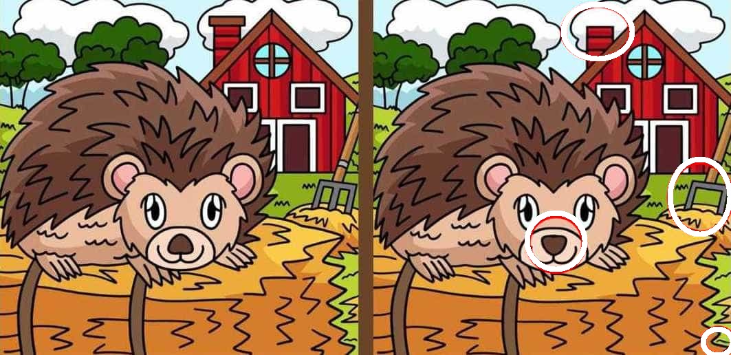 Raciocínio Lógico: descubra as 4 diferenças entre as imagens do ouriço Raciocínio Lógico: descubra as 4 diferenças entre as imagens do ouriço