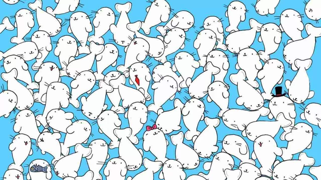 Encontre o marshmallow