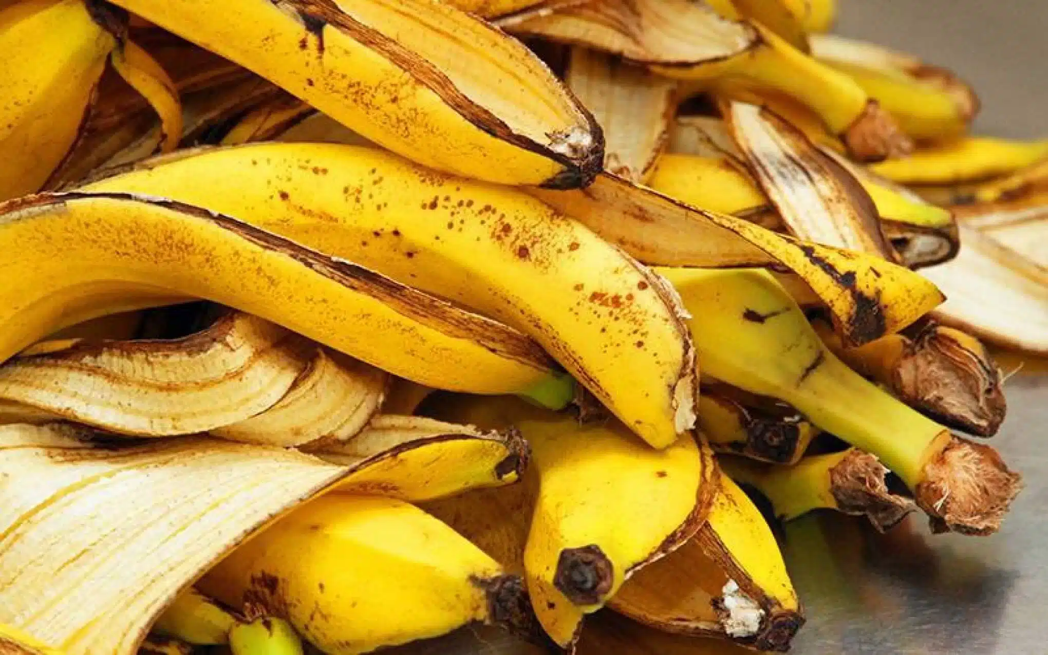 Fazer limpeza com casca de banana