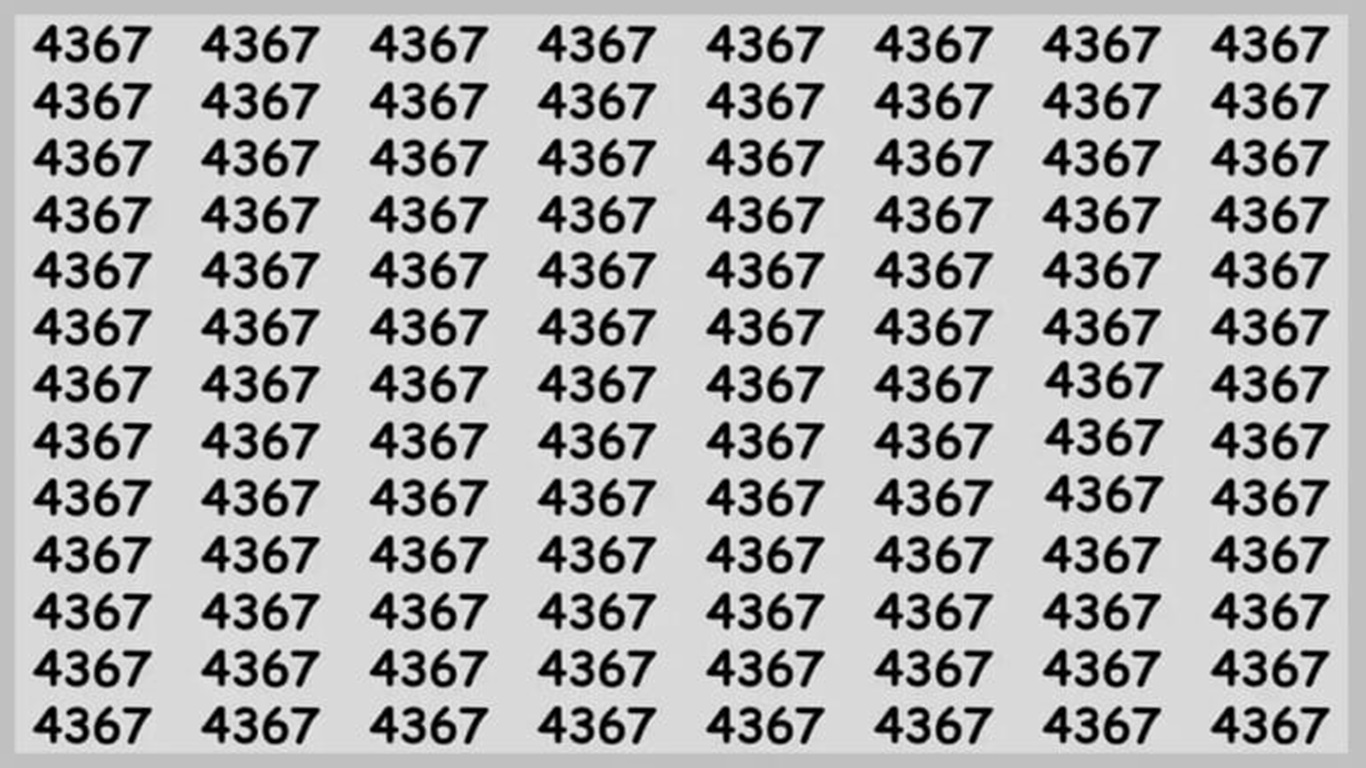 Desafio Visual encontre o numero 4867