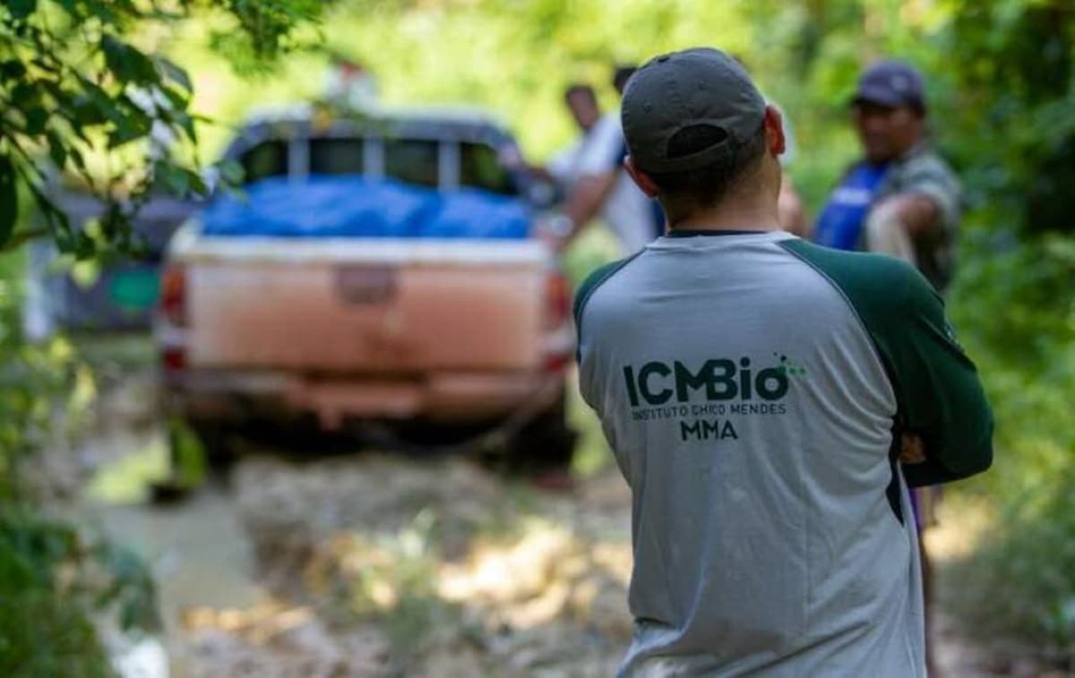 Inscrições do concurso ICMBio são reabertas.