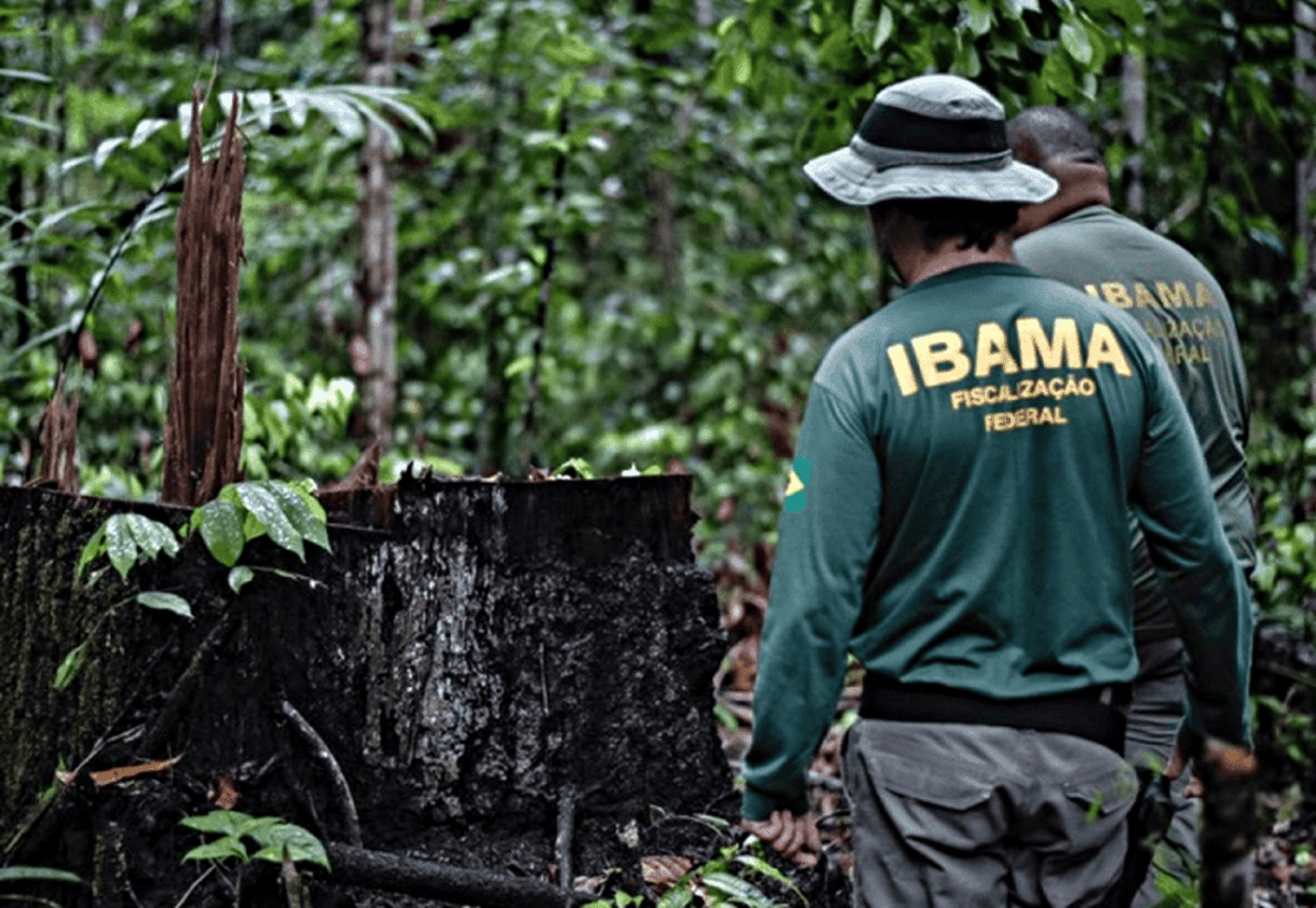 Agente do Ibama trabalhando em fiscalização.