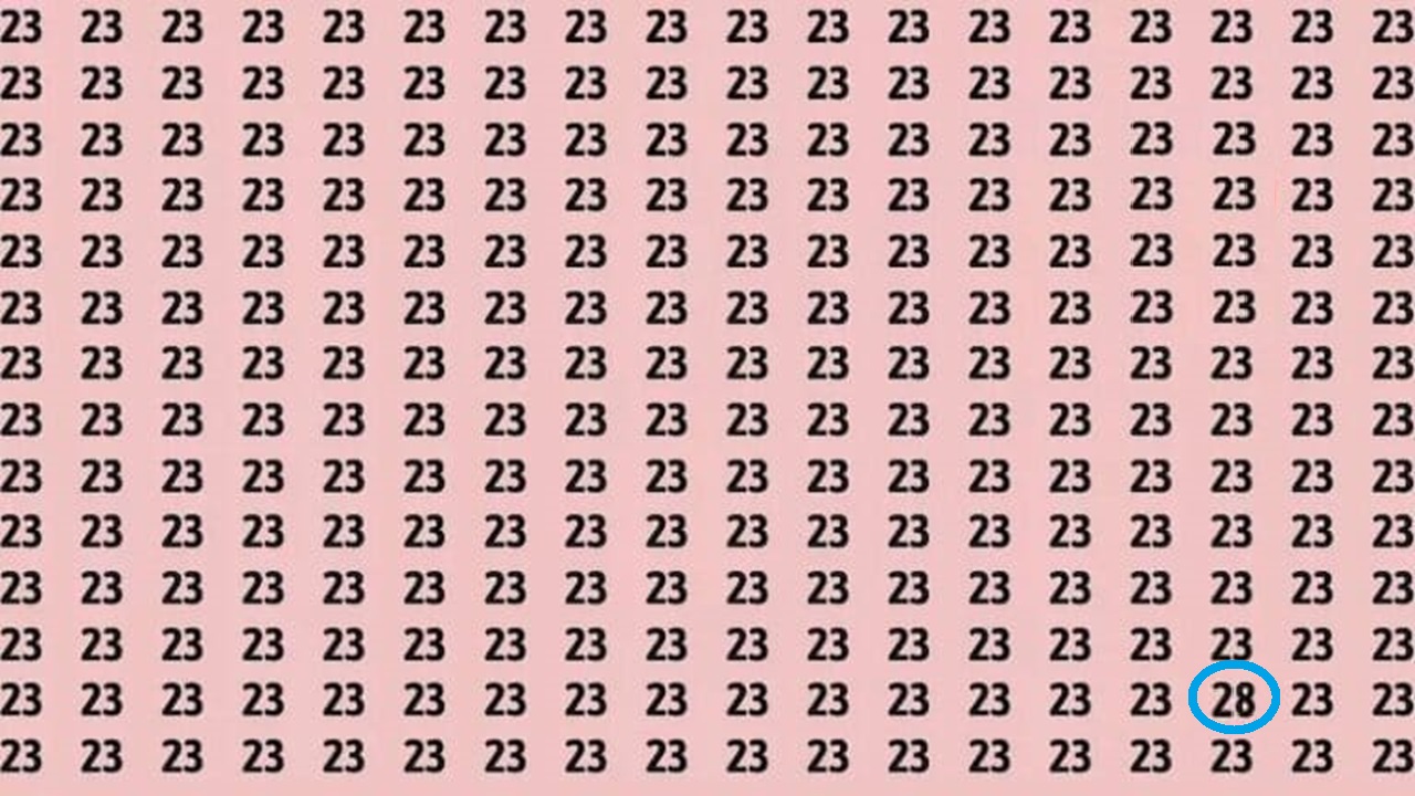 Teste de QI: será que você consegue encontrar o número 28 em 20 segundos? Teste de QI: será que você consegue encontrar o número 28 em 20 segundos?
