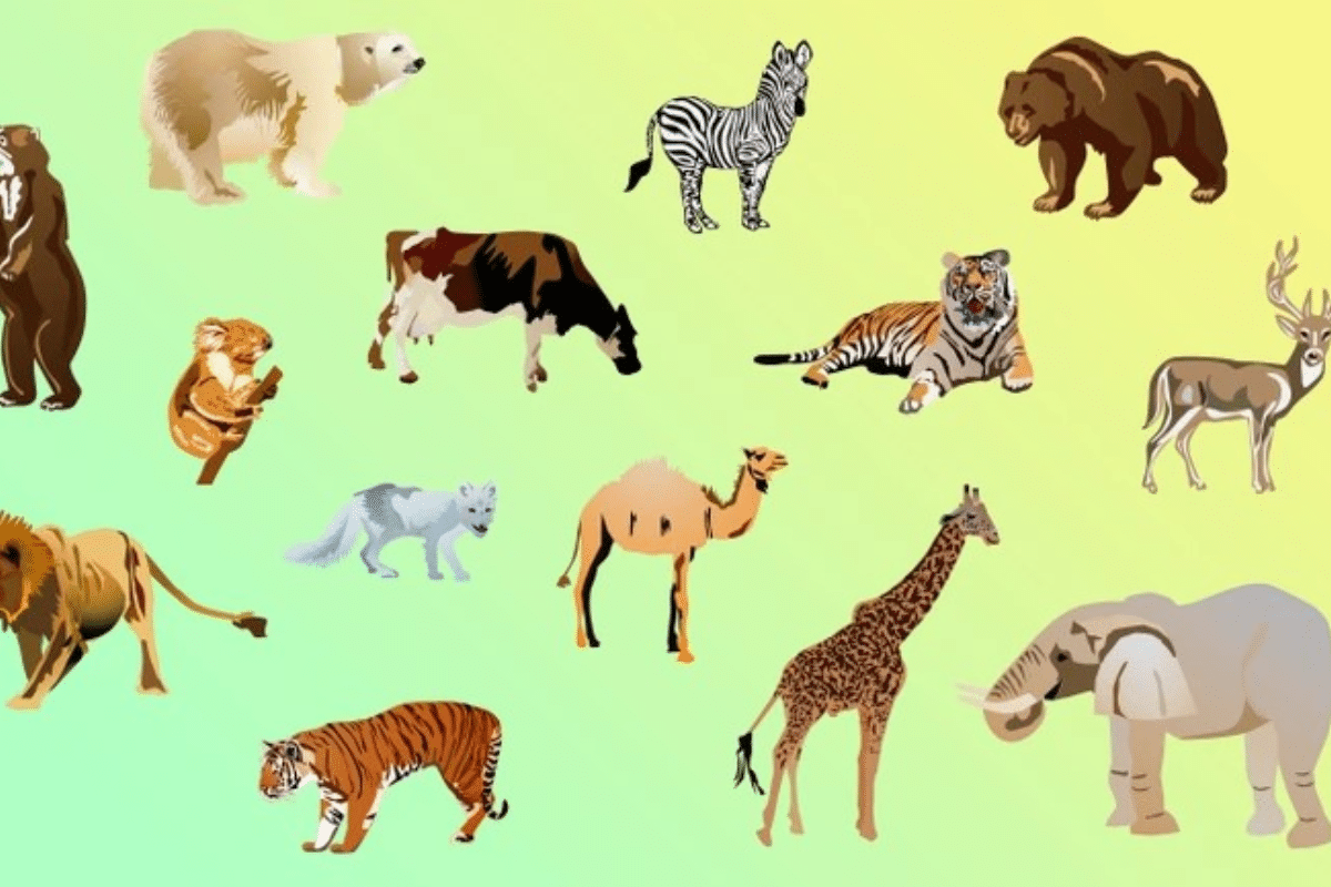 Desafio visual do animal que não pertence ao grupo. Fonte: Jagran Josh.