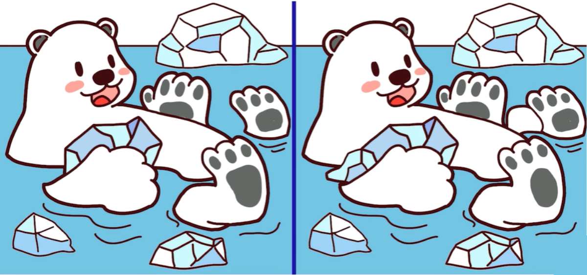 desafio visual erros do urso polar Desafio visual - 3 erros do urso polar. Fonte: Jagran Josh.