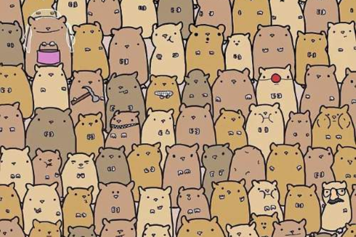 Desafio visual da batata entre os hamsters. Fonte: Jagran Josh.