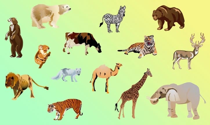 desafio visual do animal que nao pertence ao grupo Desafio visual do animal que não pertence ao grupo. Fonte: Jagran Josh.