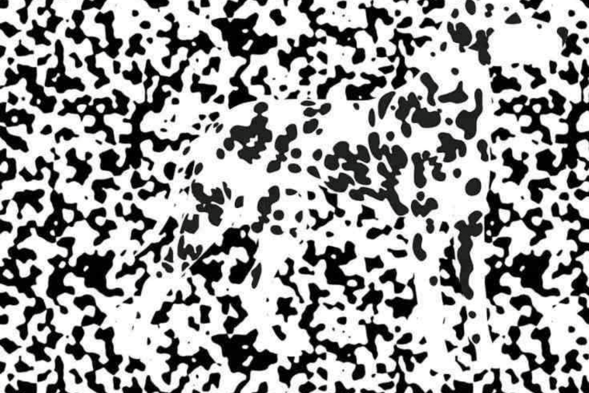 Desafio visual do cachorro na imagem. Fonte: Jagran Josh.