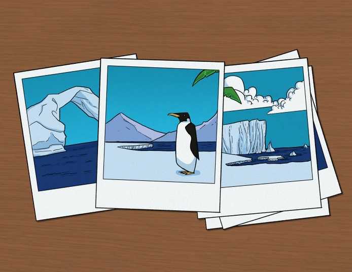 desafio visual do erro do pinguim Desafio visual do erro do pinguim. Fonte: Jagran Josh.