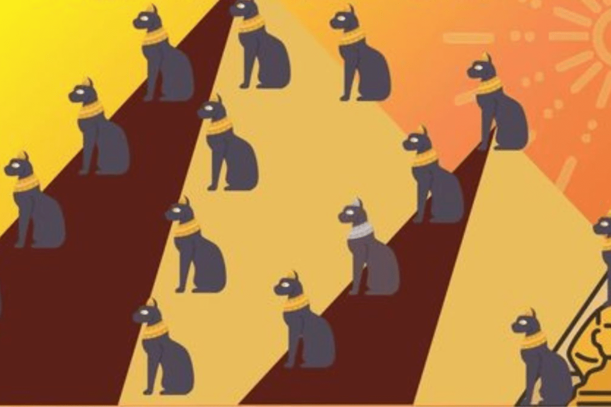 desafio visual do gato diferente Desafio visual: encontre o gato diferente na imagem. Fonte: Jagran Josh.