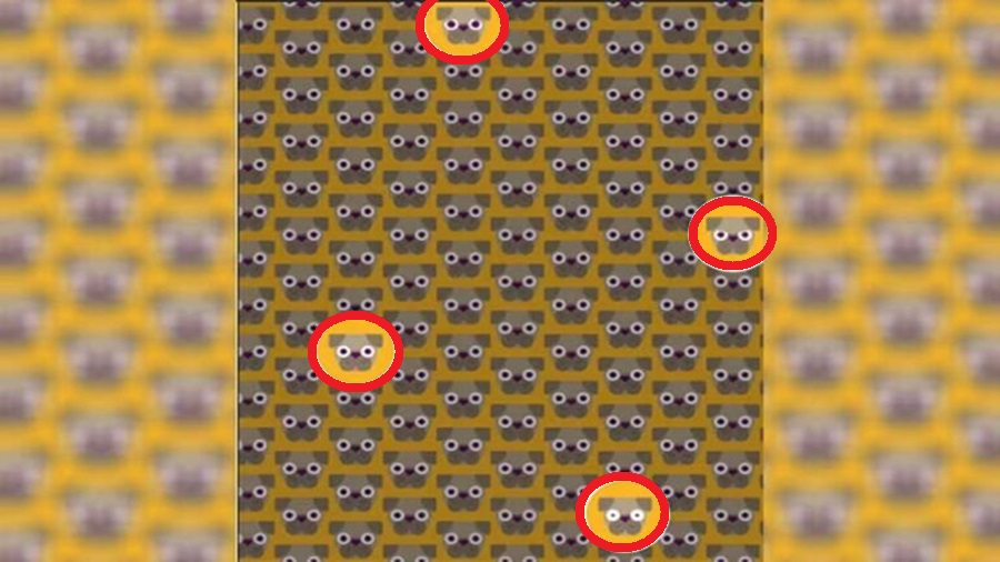 Desafio Visual: encontre 4 pugs diferentes em 20 segundos Desafio Visual: encontre 4 pugs diferentes em 20 segundos